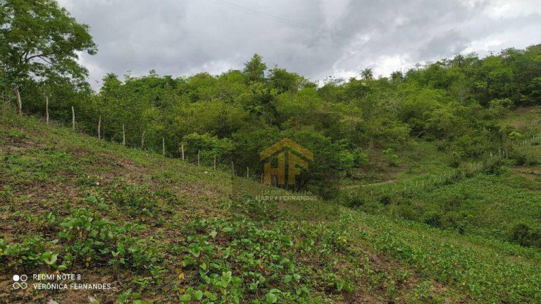 Imagem Imóvel com 2 Quartos à Venda, 160.000 m² em Rural - Paudalho Imagem Imóvel com 2 Quartos à Venda, 160.000 m² em Rural - Paudalho