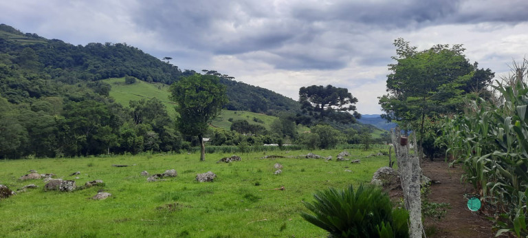 Imagem Imóvel à Venda, 130.932 m² em Zona Rural - Alfredo Wagner Imagem Imóvel à Venda, 130.932 m² em Zona Rural - Alfredo Wagner