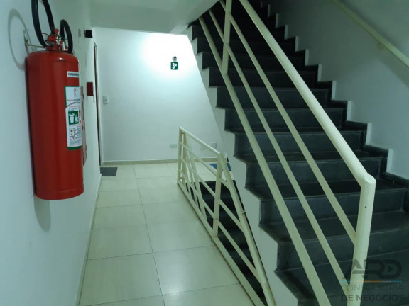 Imagem Apartamento com 3 Quartos para Alugar, 64 m² em São Miguel - Pq Cruzeiro - São Paulo Imagem Apartamento com 3 Quartos para Alugar, 64 m² em São Miguel - Pq Cruzeiro - São Paulo