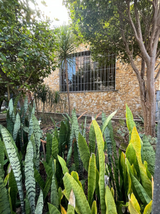 Imagem Apartamento com 20 Quartos à Venda, 585 m² em Vila Maria Alta - São Paulo