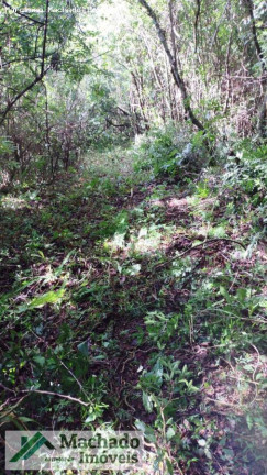 Imagem Terreno à Venda, 20.000 m² em Rural - Itaara Imagem Terreno à Venda, 20.000 m² em Rural - Itaara
