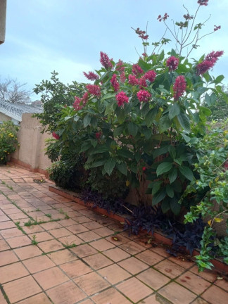 Imagem Casa com 4 Quartos para Alugar, 200 m² em Chácara Das Pedras - Porto Alegre Imagem Casa com 4 Quartos para Alugar, 200 m² em Chácara Das Pedras - Porto Alegre