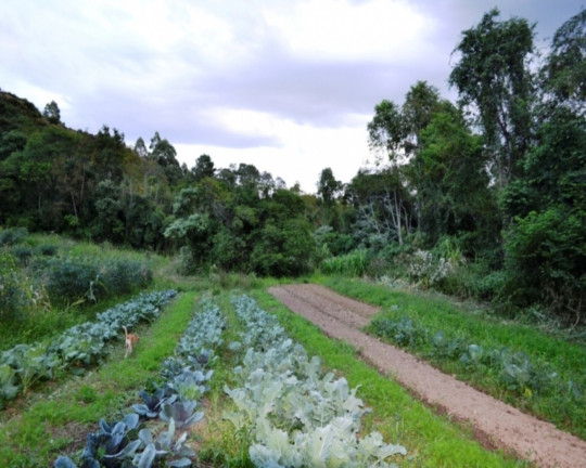 Imagem Imóvel à Venda, em Vila Germânia - Nova Petrópolis Imagem Imóvel à Venda, em Vila Germânia - Nova Petrópolis