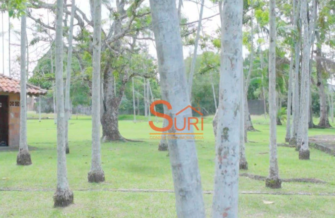 Imagem Fazenda à Venda, 1.000 m² em São João - Marituba Imagem Fazenda à Venda, 1.000 m² em São João - Marituba