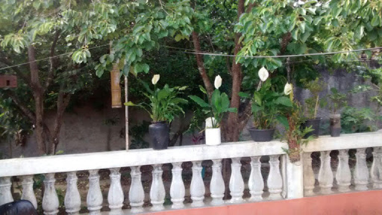 Imagem Casa com 2 Quartos à Venda, 137 m² em Jardim Colonial - São José Dos Campos Imagem Casa com 2 Quartos à Venda, 137 m² em Jardim Colonial - São José Dos Campos