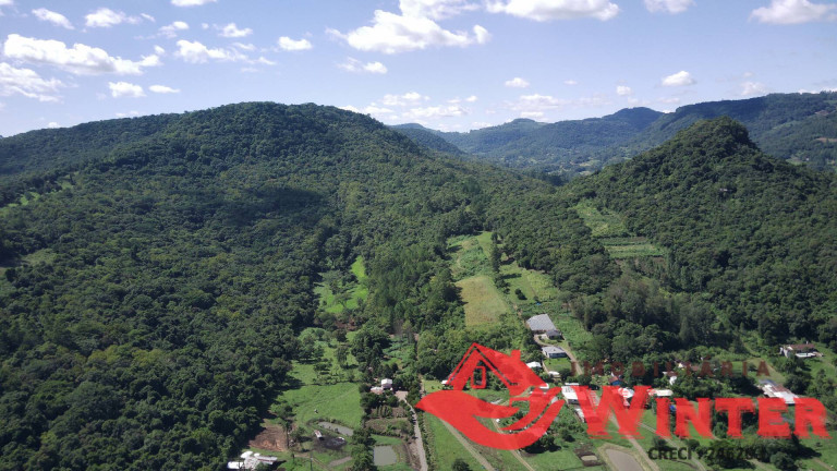 Imagem Chácara à Venda, 110.000 m² em Picada Cara - Feliz Imagem Chácara à Venda, 110.000 m² em Picada Cara - Feliz