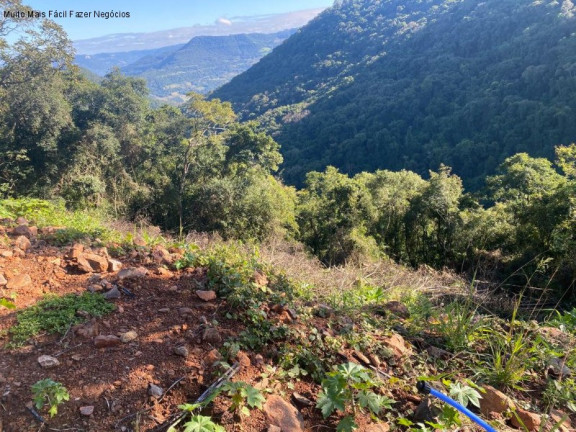 Terreno à Venda, 780 m² em Pousada Da Neve - Nova Petrópolis