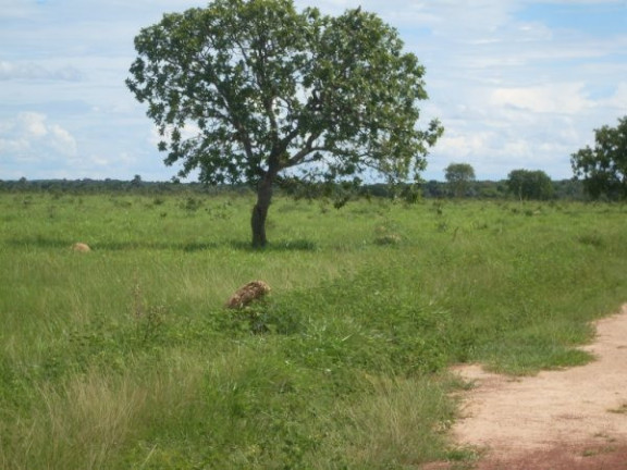 Imagem Imóvel à Venda,  em Região Do Araguaia Xingu - São Félix Do Araguaia