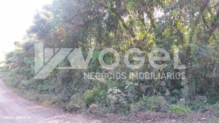 Imagem Imóvel à Venda, 5 m² em Bairro Não Informado - Ivoti Imagem Imóvel à Venda, 5 m² em Bairro Não Informado - Ivoti