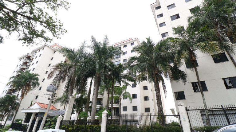 Imagem Apartamento com 3 Quartos à Venda, 75 m² em Jardim Peri Peri - São Paulo Imagem Apartamento com 3 Quartos à Venda, 75 m² em Jardim Peri Peri - São Paulo