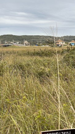 Imagem Terreno à Venda, 825 m² em Baía Formosa - Armação Dos Búzios Imagem Terreno à Venda, 825 m² em Baía Formosa - Armação Dos Búzios