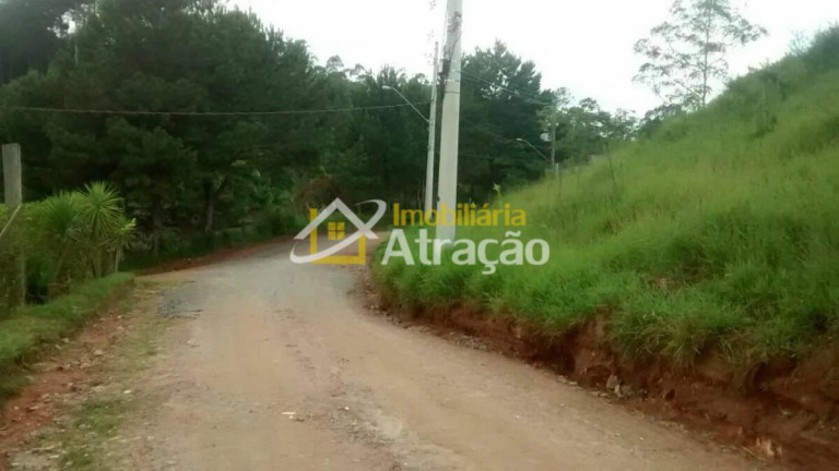 Imagem Terreno à Venda, 2.500 m² em Vila São Francisco - Suzano Imagem Terreno à Venda, 2.500 m² em Vila São Francisco - Suzano