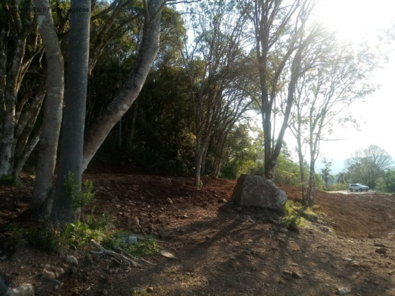 Imagem Terreno à Venda, 2.203 m² em Pousada Da Neve - Nova Petrópolis Imagem Terreno à Venda, 2.203 m² em Pousada Da Neve - Nova Petrópolis