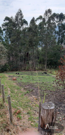 Imagem Terreno à Venda, 850 m² em Estância Santa Maria Do Portão - Atibaia Imagem Terreno à Venda, 850 m² em Estância Santa Maria Do Portão - Atibaia