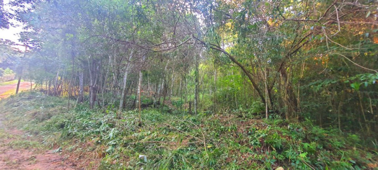 Imagem Imóvel à Venda, 282 m² em Loteamento Bosque Dos Palmares - Atibaia Imagem Imóvel à Venda, 282 m² em Loteamento Bosque Dos Palmares - Atibaia