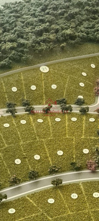 Imagem Terreno em Condomínio à Venda, 481 m² em Nova Sao Pedro - São Pedro Da Aldeia Imagem Terreno em Condomínio à Venda, 481 m² em Nova Sao Pedro - São Pedro Da Aldeia
