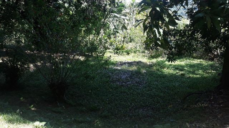 Imagem Imóvel à Venda,  em Chácara Recreio Floresta - Jaguariúna