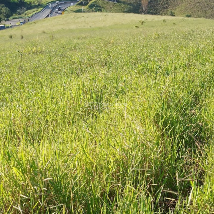 Imagem Imóvel com 2 Quartos à Venda, 266.000 m² em Branco - Lavrinhas