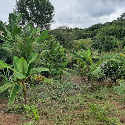 Imóvel com 1 Quarto à Venda, 2.000 m² em Diogo - Mata De São João