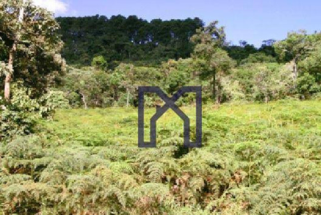 Imagem Fazenda à Venda, 570.000 m² em Vila Maria - Piranguçu Imagem Fazenda à Venda, 570.000 m² em Vila Maria - Piranguçu