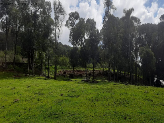 Imagem Terreno à Venda, 2 m² em Linha Imperial - Nova Petrópolis