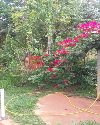 Imagem Imóvel com 3 Quartos à Venda, 2.500 m² em Centro - Montes Claros