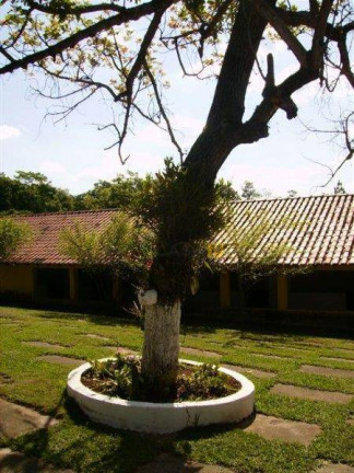 Imagem Chácara com 3 Quartos à Venda, 30.000 m² em Parque Residencial Tancredi - Americana Imagem Chácara com 3 Quartos à Venda, 30.000 m² em Parque Residencial Tancredi - Americana
