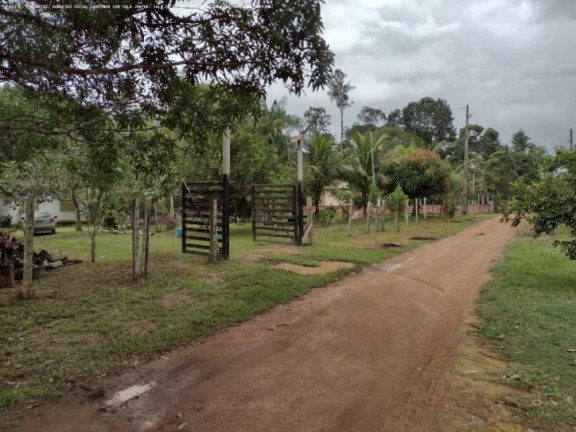 Imagem Chácara à Venda, 5.000 m² em Areia Branca - Porto Velho Imagem Chácara à Venda, 5.000 m² em Areia Branca - Porto Velho