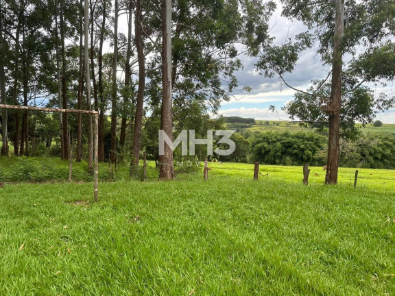 Imagem Imóvel com 6 Quartos à Venda, 108.900 m² em Tatu - Limeira