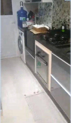 Imagem Apartamento com 2 Quartos à Venda, 54 m² em Vila Bremen - Guarulhos Imagem Apartamento com 2 Quartos à Venda, 54 m² em Vila Bremen - Guarulhos