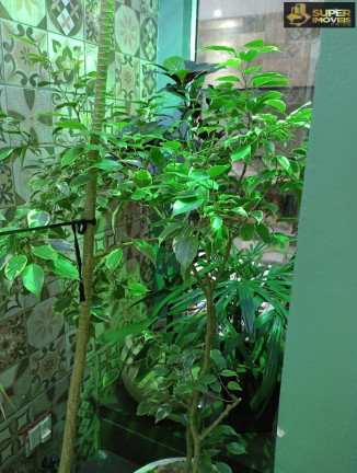 Imagem Casa de Condomínio com 3 Quartos à Venda, 143 m² em Três Vendas - Pelotas Imagem Casa de Condomínio com 3 Quartos à Venda, 143 m² em Três Vendas - Pelotas