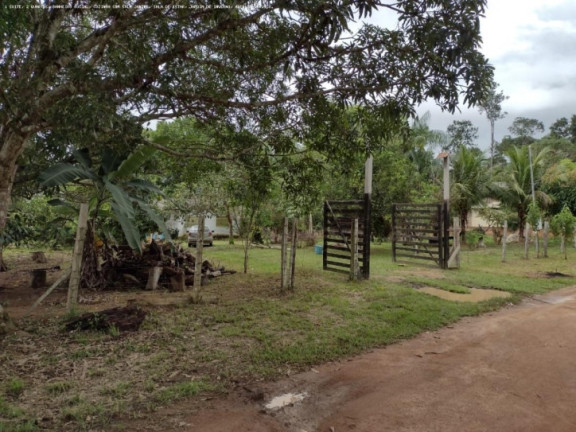 Imagem Chácara à Venda, 5.000 m² em Areia Branca - Porto Velho Imagem Chácara à Venda, 5.000 m² em Areia Branca - Porto Velho