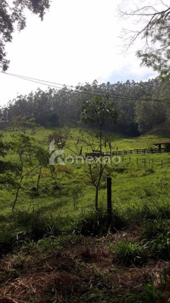 Imagem Fazenda à Venda, 400 m² em Itapeva - Paraibuna Imagem Fazenda à Venda, 400 m² em Itapeva - Paraibuna