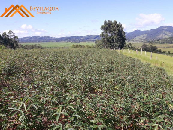 Imagem Terreno à Venda, 6 m² em Costa De Baixo - Imarui Imagem Terreno à Venda, 6 m² em Costa De Baixo - Imarui