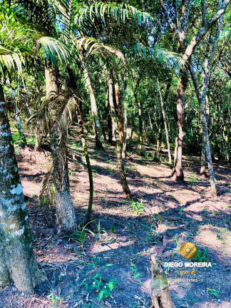 Terreno à Venda, 835 m² em Mato Dentro - Mairiporã