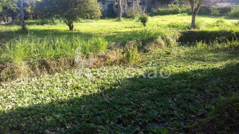 Imagem Chácara com 3 Quartos à Venda, 300 m² em Canaã I - Jambeiro Imagem Chácara com 3 Quartos à Venda, 300 m² em Canaã I - Jambeiro