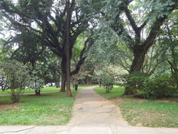 Imagem Apartamento com 3 Quartos à Venda, 306 m² em Real Parque - São Paulo