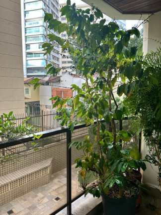 Imagem Apartamento com 3 Quartos à Venda, 163 m² em Paraíso - São Paulo Imagem Apartamento com 3 Quartos à Venda, 163 m² em Paraíso - São Paulo