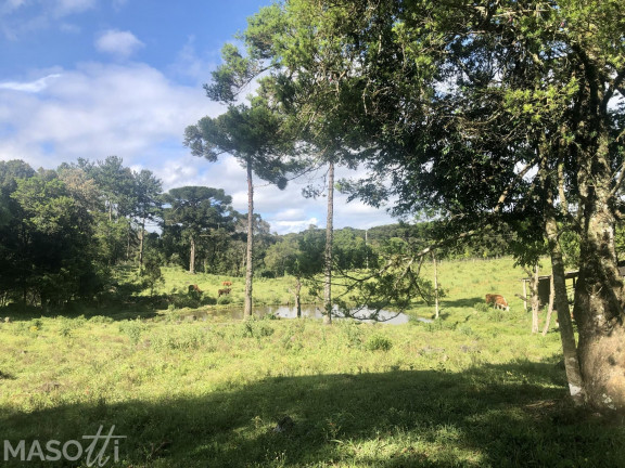Imagem Chácara à Venda, 70.000 m² em Serra Grande Italiana - Gramado Imagem Chácara à Venda, 70.000 m² em Serra Grande Italiana - Gramado