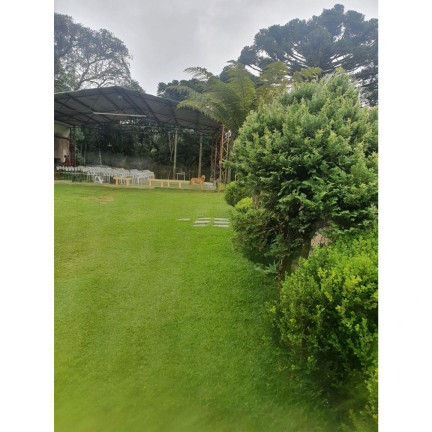 Imagem Imóvel com 4 Quartos à Venda, 133.100 m² em Contenda - Contenda