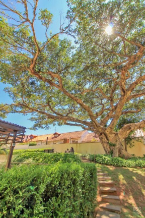 Imagem Apartamento com 3 Quartos à Venda, 126 m² em Ipanema - Porto Alegre