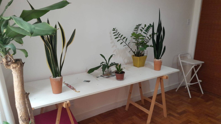 Imagem Apartamento com 1 Quarto à Venda, 26 m² em Flamengo - Rio De Janeiro