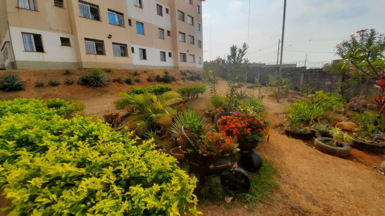Imagem Apartamento com 2 Quartos à Venda, 42 m² em Solar Do Barreiro,(barreiro) - Belo Horizonte Imagem Apartamento com 2 Quartos à Venda, 42 m² em Solar Do Barreiro,(barreiro) - Belo Horizonte