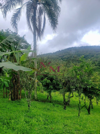 Imagem Chácara com 3 Quartos à Venda, 8.000 m² em Alexandra - Paranaguá