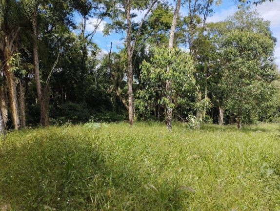 Imagem Terreno à Venda, 1 m² em Jardim Cananéia - Pilar Do Sul Imagem Terreno à Venda, 1 m² em Jardim Cananéia - Pilar Do Sul