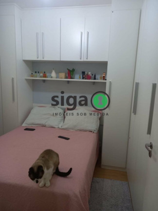 Imagem Apartamento com 2 Quartos à Venda, 49 m² em Parque Munhoz - São Paulo Imagem Apartamento com 2 Quartos à Venda, 49 m² em Parque Munhoz - São Paulo
