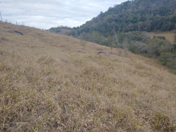 Imagem Chácara à Venda, 20.000 m² em Rio Pardo - Caldas Imagem Chácara à Venda, 20.000 m² em Rio Pardo - Caldas