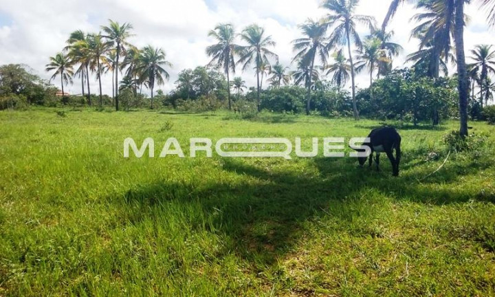 Imagem Imóvel à Venda, 34 m² em Centro - Conde Imagem Imóvel à Venda, 34 m² em Centro - Conde