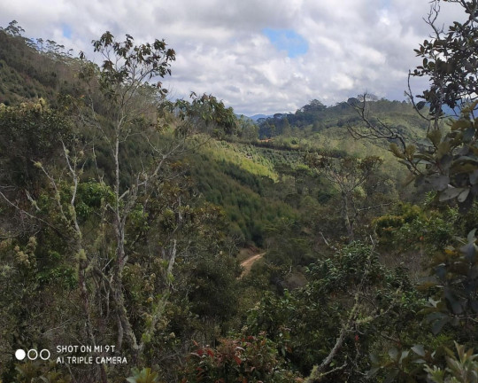 Imagem Imóvel à Venda, 2.500.000 m² em Fazenda Bela Vista - Nova Friburgo Imagem Imóvel à Venda, 2.500.000 m² em Fazenda Bela Vista - Nova Friburgo
