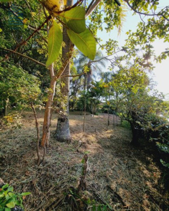 Imagem Imóvel à Venda, 1.962 m² em Centro - Santana De Parnaíba Imagem Imóvel à Venda, 1.962 m² em Centro - Santana De Parnaíba